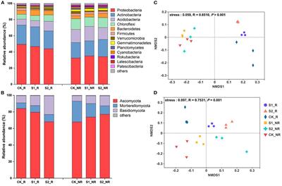 Straw mulch improves soil carbon and nitrogen cycle by mediating microbial community structure and function in the maize field